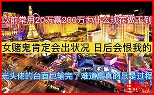 双今天专家精准预测号